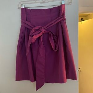 Bright Purple JCrew Skirt